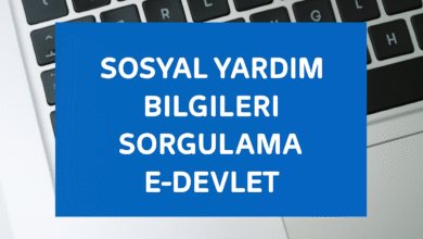 Sosyal Yardım Bilgileri Sorgulama E-devlet